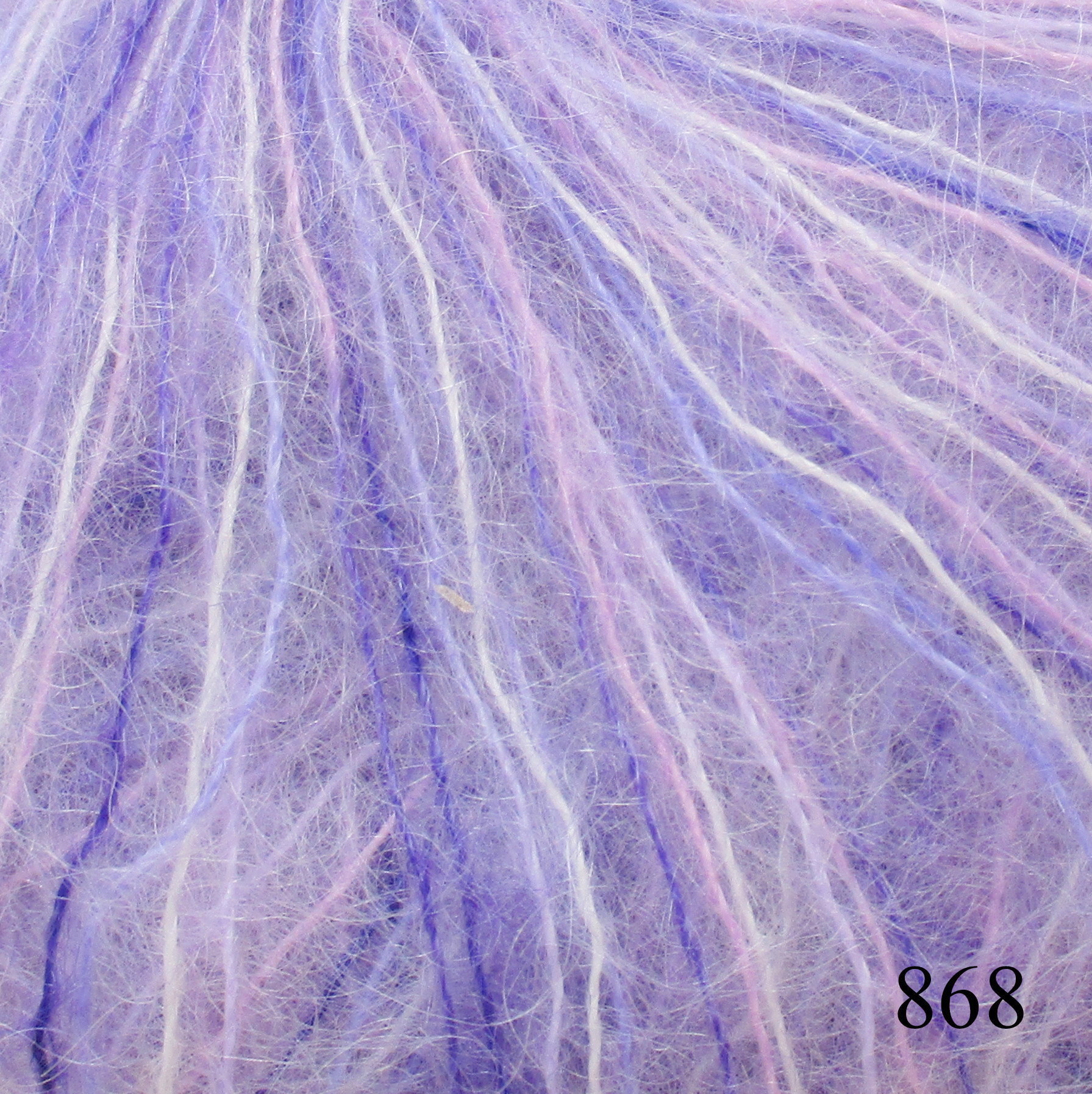 868 / Daugiaspalvė violetine
