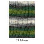 113 / Daugiaspalvė